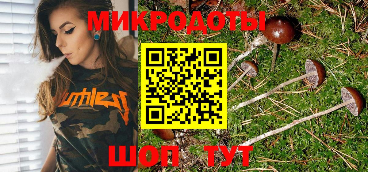 Галлюциногенные грибы MAGIC MUSHROOMS Дзержинский