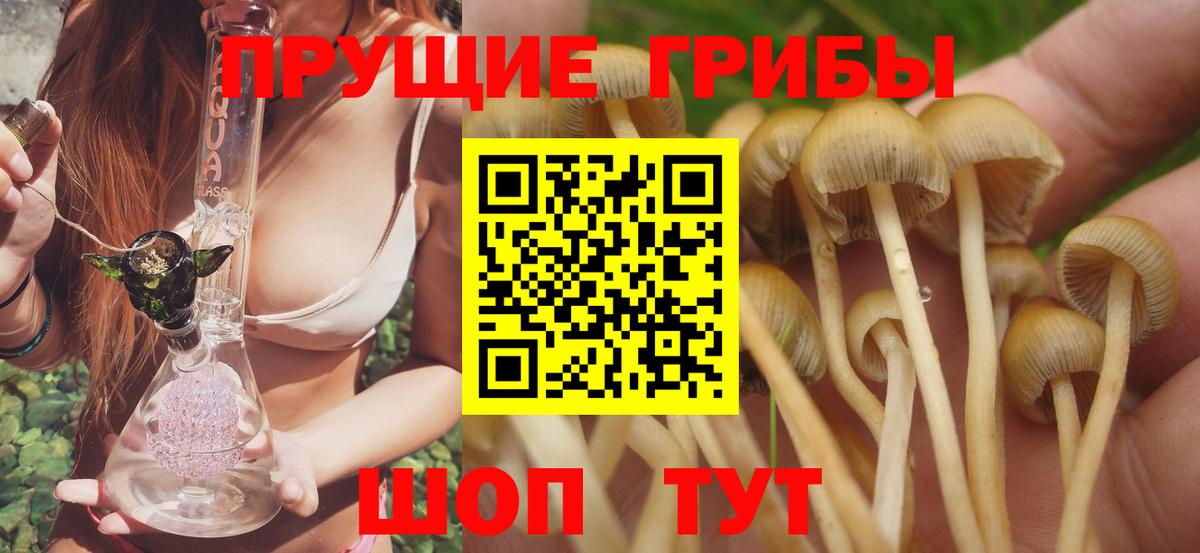 Дзержинский  Галлюциногенные грибы Magic Shrooms  Вход с VPN 